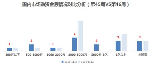 誰說性感只能有維密一種 neiwai內外獲7000萬B輪融資，推動融資性擔保視角下的內衣行業變革