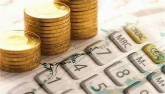 金融的耐心 融資性擔保行業的價值與韌性